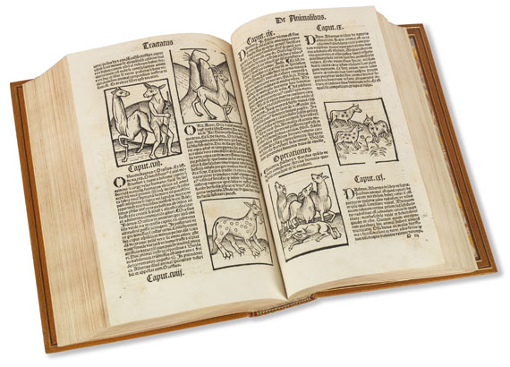 Hortus sanitatis - Hortus Sanitatis 1517