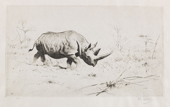 Wilhelm Kuhnert - 3 Bll.: Ruhende Löwen. Afrikanisches Nashorn. Elch - Weitere Abbildung