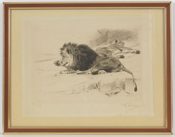 Wilhelm Kuhnert - 3 Bll.: Ruhende Löwen. Afrikanisches Nashorn. Elch - Rahmenbild