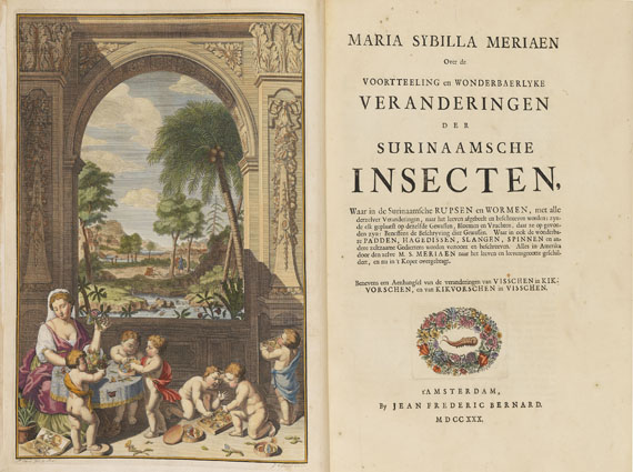 Maria Sibylla Merian - Surinaamsche Insecten. Amsterdam 1730 - Weitere Abbildung