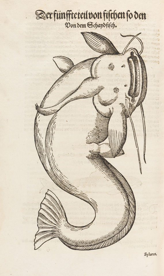 Conrad Gesner - Vogel-, Thier-, Fisch- und Schlangenbuch - Weitere Abbildung