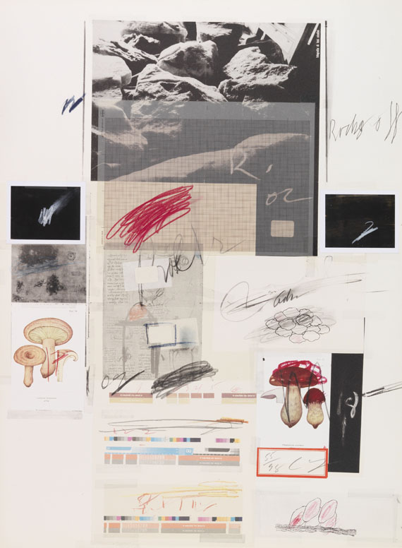 Cy Twombly - Natural History Part I, Mushrooms - Weitere Abbildung