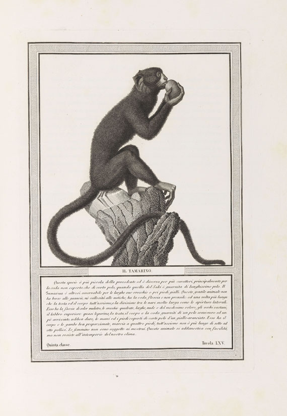 Nicolas Henri Jacob - Storia naturale. 1812 - Weitere Abbildung