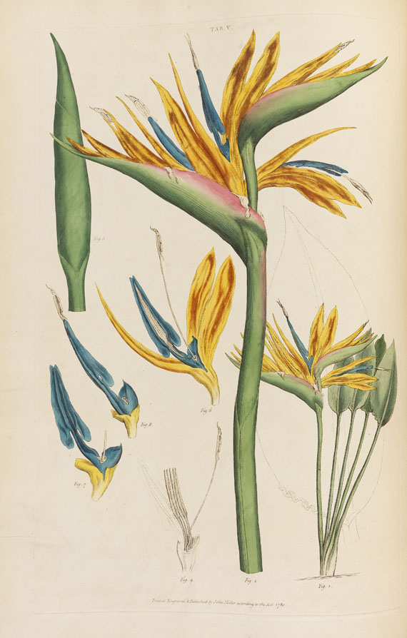 John Miller - Illustratio systematis sexualis Linnaei, 2 Bde. 1770-1780.