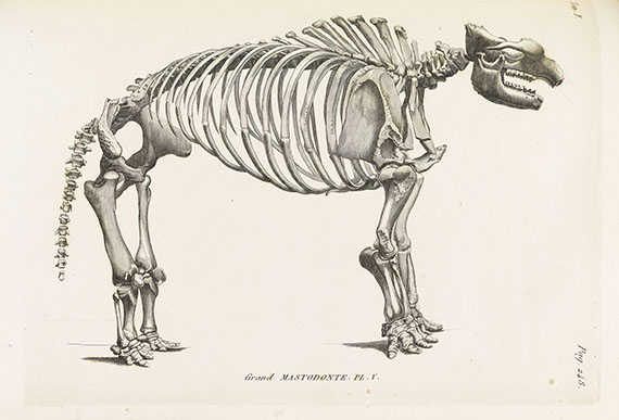 Georges Cuvier - Recherches sur les ossemens fossiles. 7 Bde.