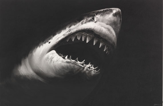 Robert Longo - Untitled (Shark 15)