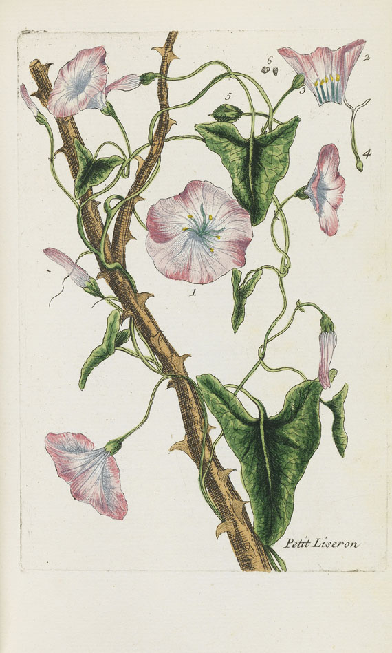 Pierre Bulliard - Flora Parisiensis. 6 Bände - Weitere Abbildung