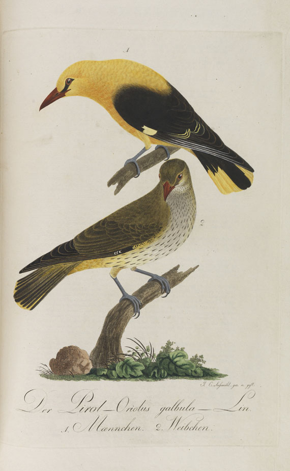 Johann Conrad Susemihl - Teutsche Ornithologie