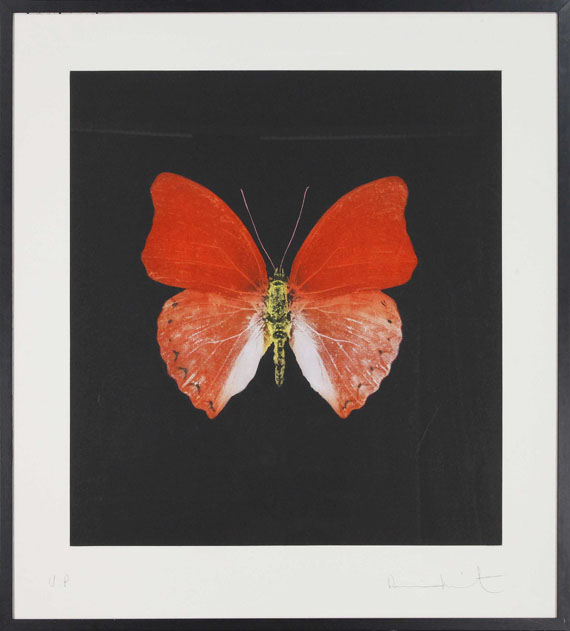 Damien Hirst - Butterfly - Rahmenbild