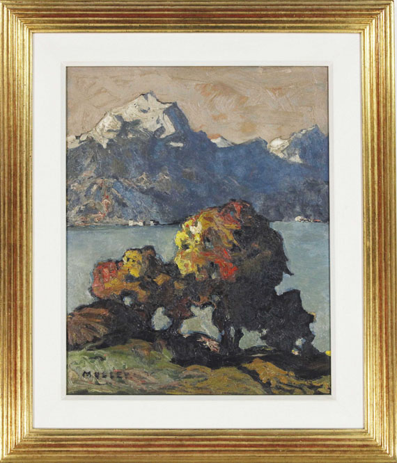 Oskar Mulley - Herbstlicher Blick über den Gardasee - Rahmenbild