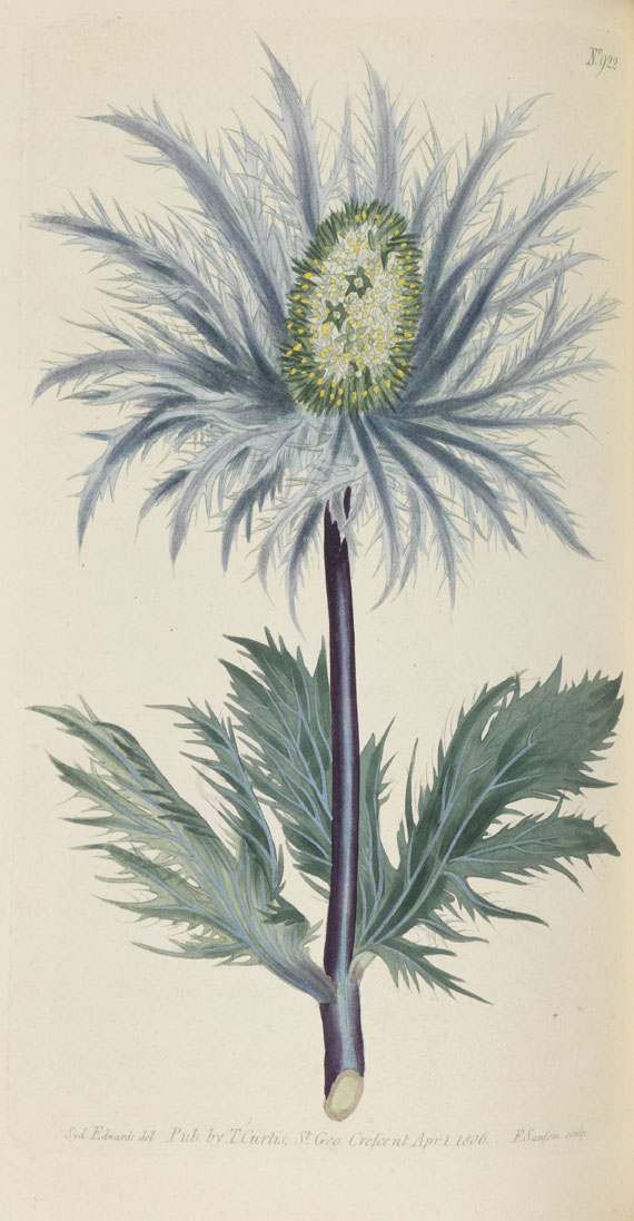William Curtis - Botanical Magazine, Bd. 1-53 in 40 Bänden