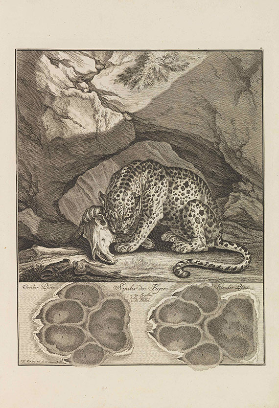 Johann Elias Ridinger - Abbildung der jagtbaren Thiere