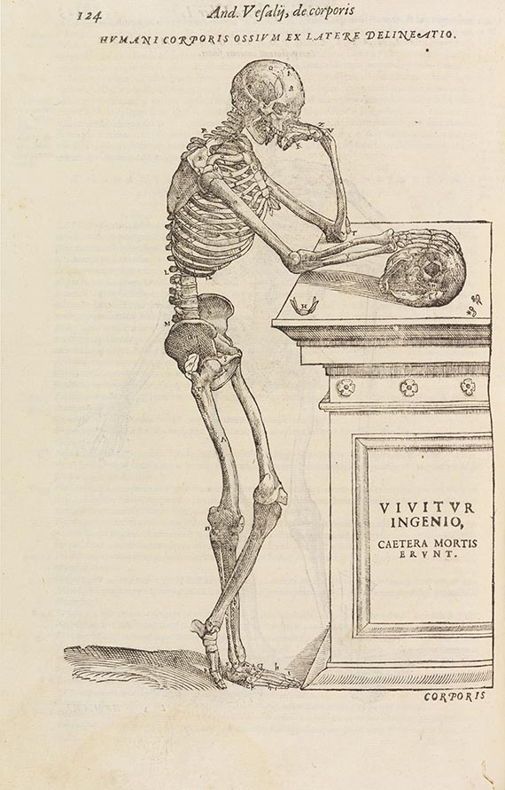 Andreas Vesalius - Anatomia - Weitere Abbildung