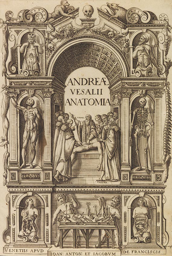 Andreas Vesalius - Anatomia