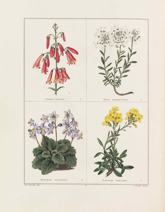Benjamin Maund - The Botanic Garden. 13 in 12 Bänden
