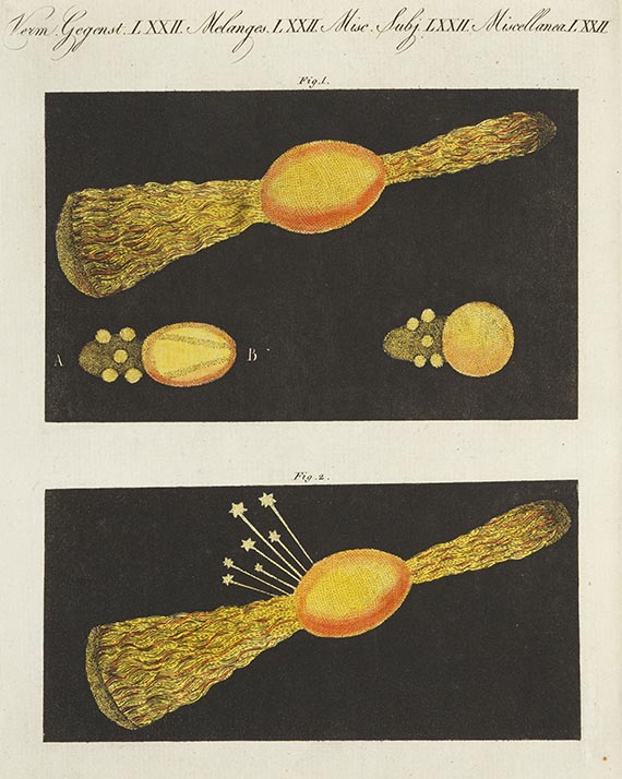 Friedrich Johann Justin Bertuch - Bilderbuch für Kinder. Bde. I-XI sowie Funke, Bde. I-XXIV. 10 Beigaben. - Weitere Abbildung