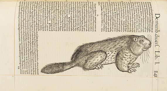 Conrad Gesner - Historia animalium lib. I