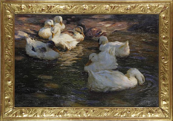 Alexander Koester - 9 Enten im Abendlicht - Rahmenbild