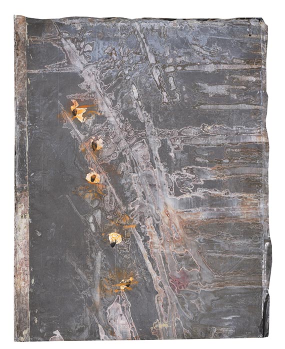 Anselm Kiefer - Blutblume - Weitere Abbildung