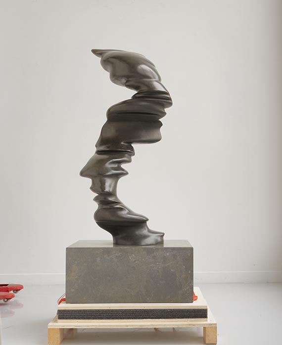 Tony Cragg - Line of Thought - Rückseite