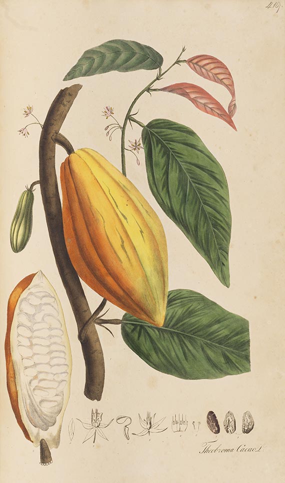 Theodor Friedrich Ludwig Nees von Esenbeck - Plantae officinales. 3 Bände