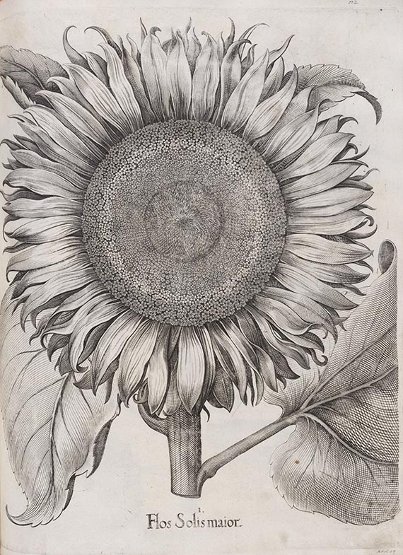 Basilius Besler - Hortus Eystettensis. Verlagseinband