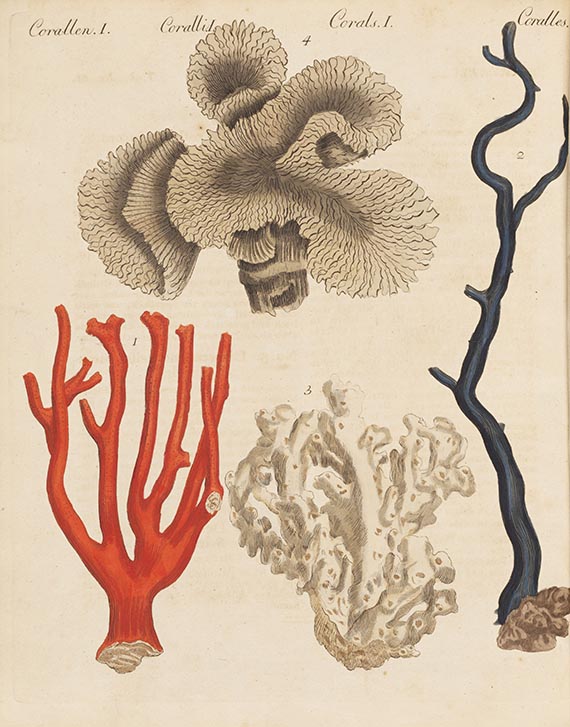 Friedrich Johann Justin Bertuch - Bilderbuch für Kinder. Bde. 1 u. 2