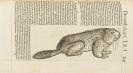 Conrad Gesner - Historia animalium lib. I